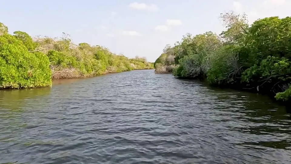 Khor Angar lagoon and coastal ecosystem