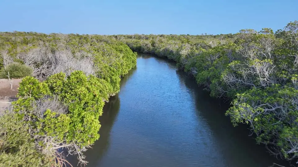 Djibouti Registers Its First UNESCO Biosphere Reserve: A Historic Turning Point